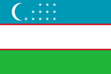 Patent Uzbekistan